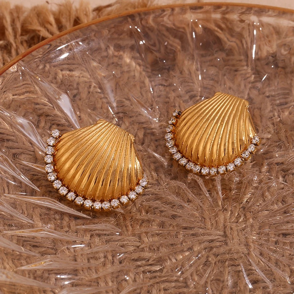 Scallop Zircon Studs