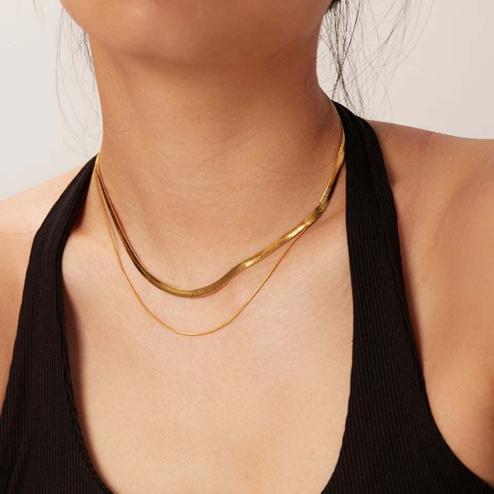 Double Layer Snake Necklace